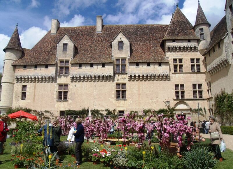 journée des plantes