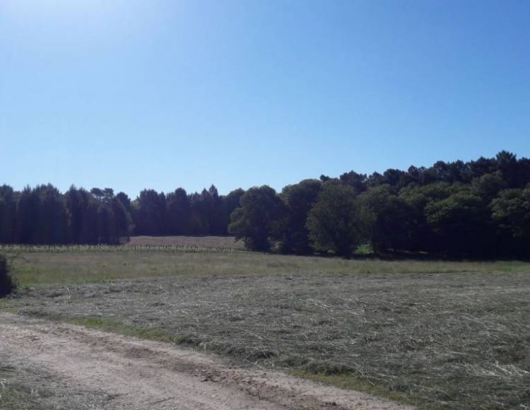 randonnée promenade du Bost ST Séverin d'Estissac