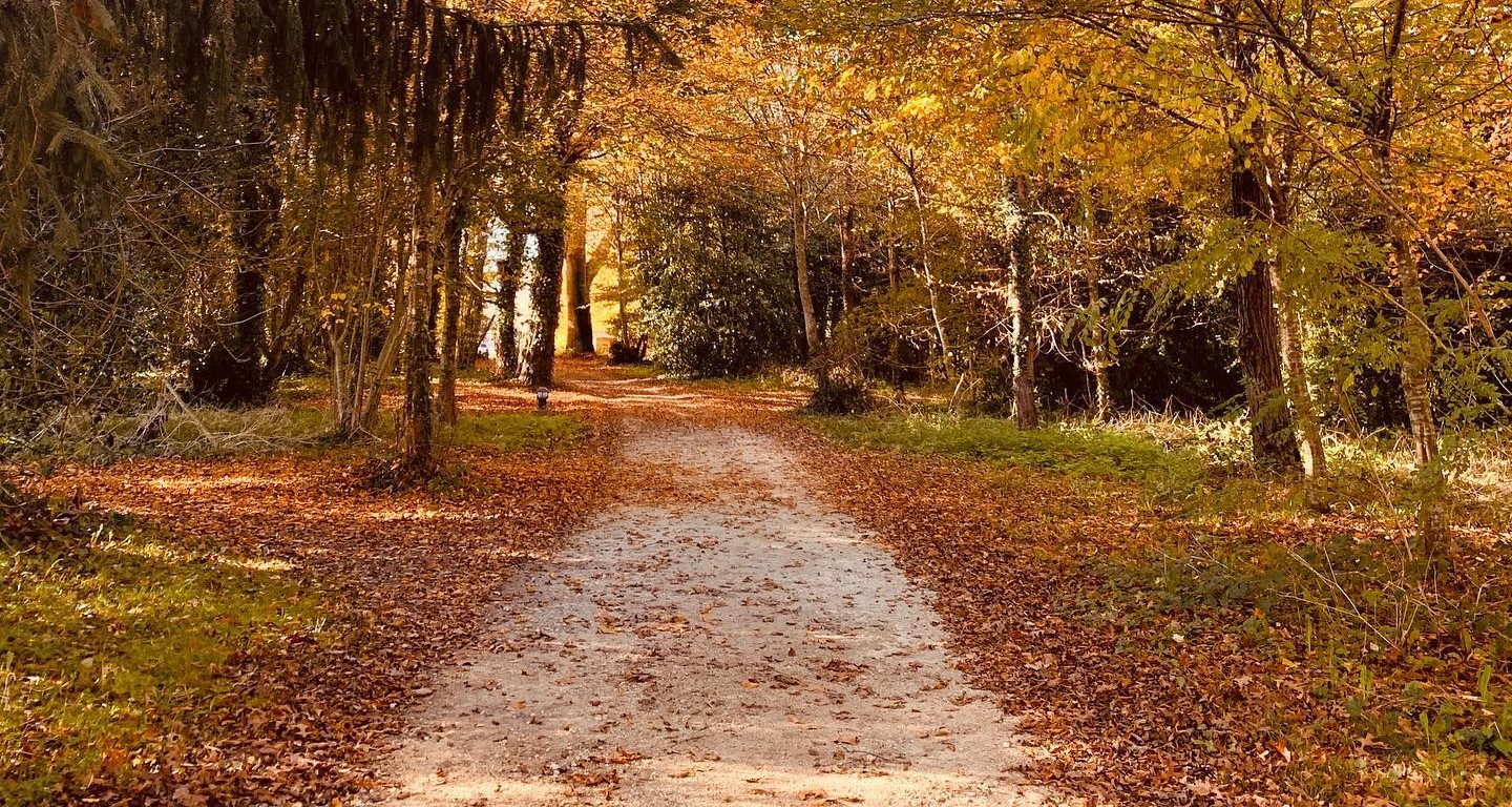 parc botanique château de Neuvic en automne