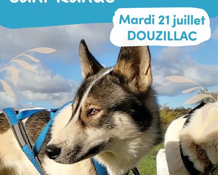 21 juillet_Douzillac_Cani rando