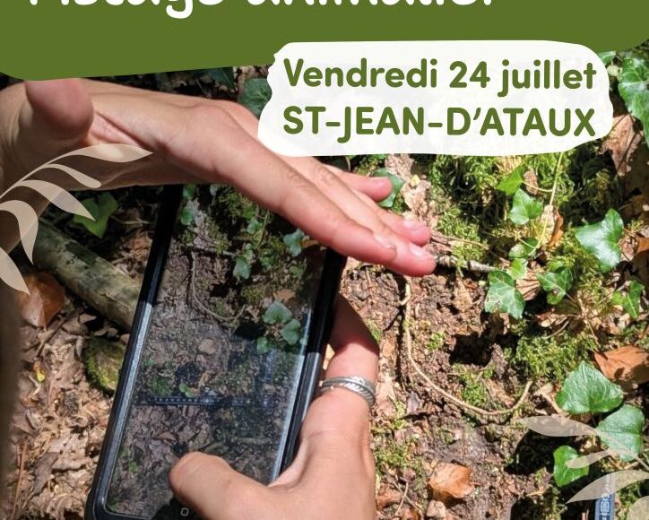 24 juillet_St Jean d'Ataux_Pistage animalier