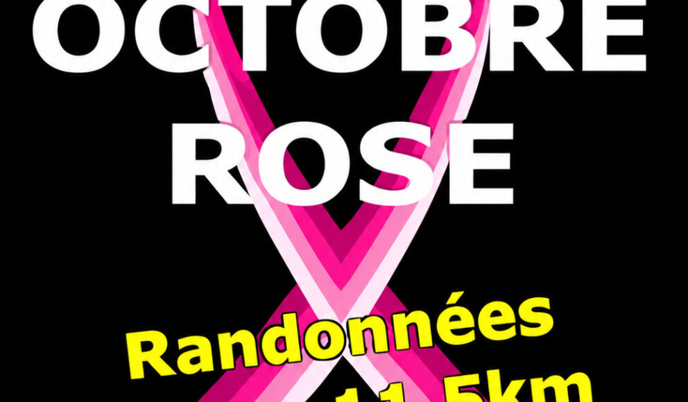 2510 octobre rose villamblard
