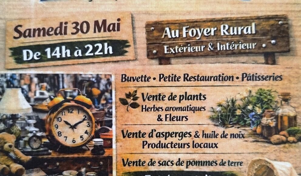 3005 vide grenier