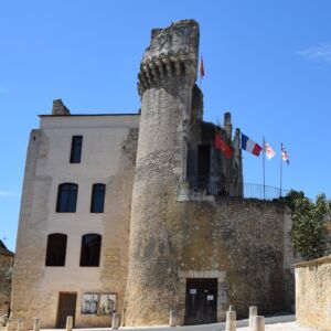 Chateau de Barrière Villamblard