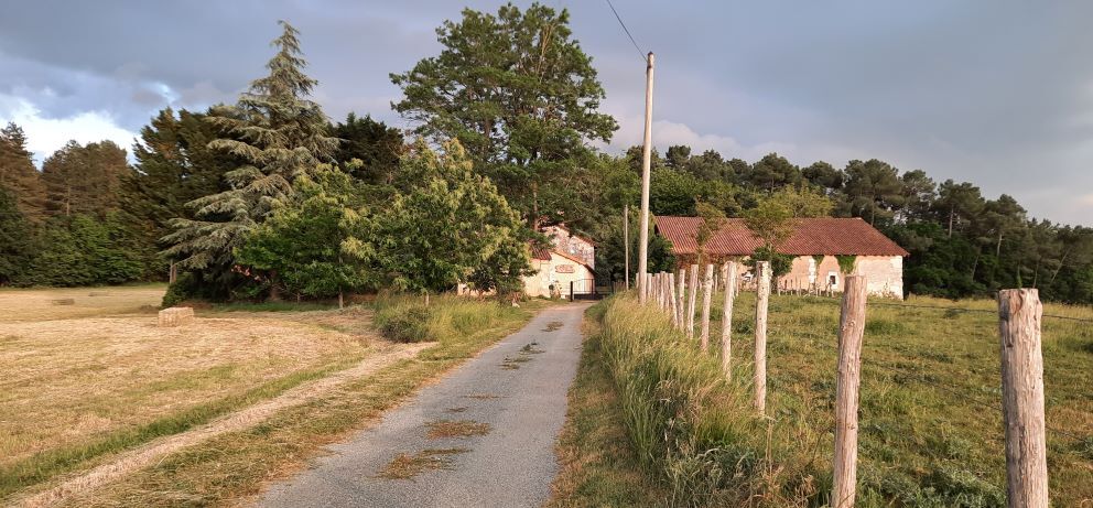Chemin Domaine de Boisset