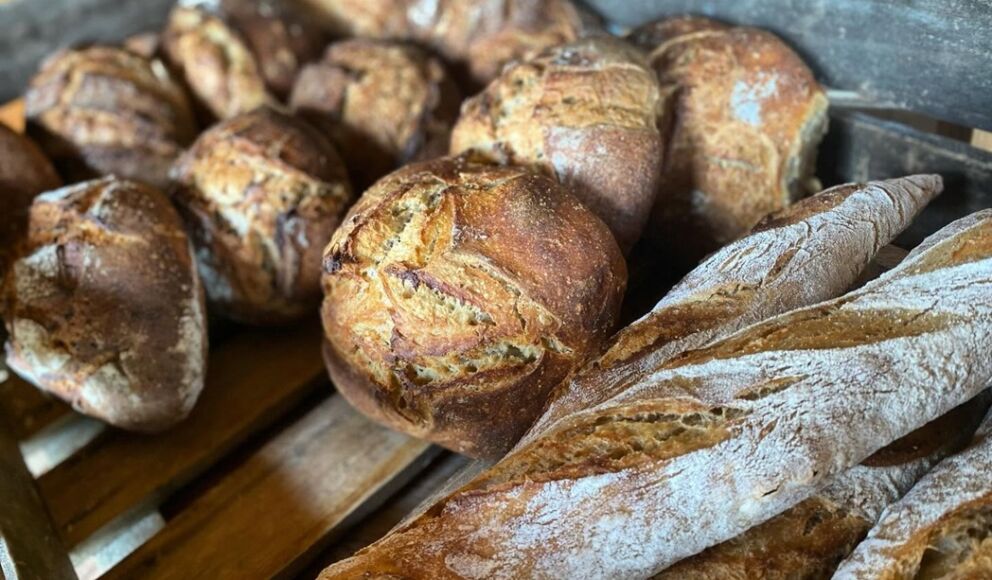 Fournil-ombriere-eygurande-vallee-isle-perigord(17)