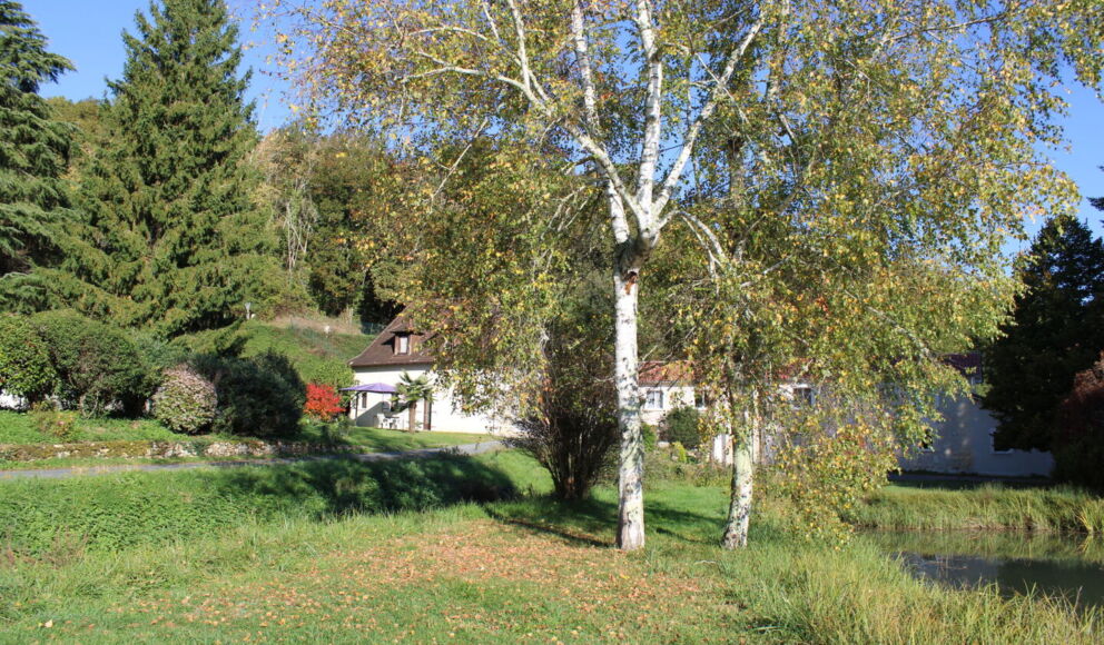 Gîte et étang