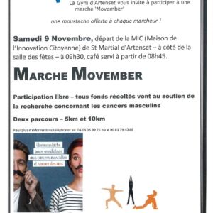 Marche Movember