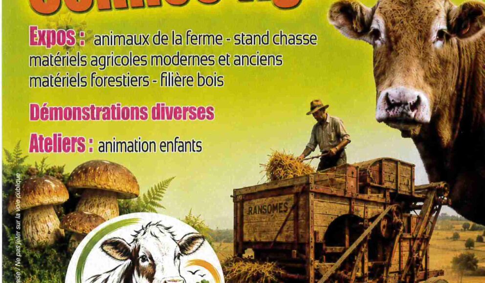 OFFICE DU TOURISME - MUSSIDAN_20260718_094513_0001