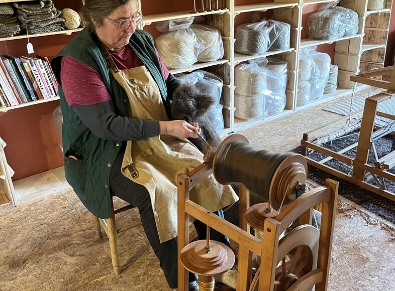 Pastoralisme-en-Double-filage-laine-vallee-isle-perigord