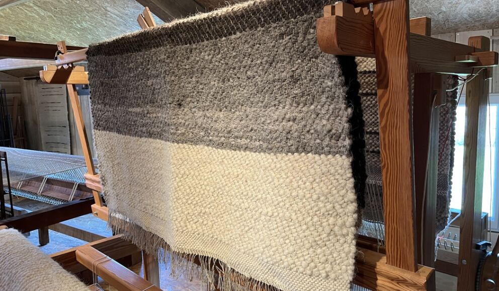 Pastoralisme-en-Double-tapis-vallee-isle-perigord