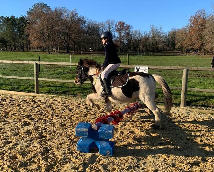 Poney-club-Domaine-d'Aure-St-Rémy