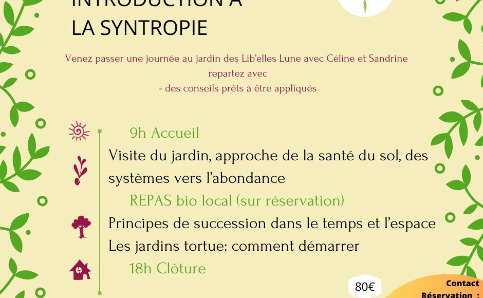 Stage introduction syntropie 20 juillet