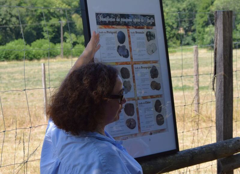 Truffiere-Eygas-Vivas-20250807 (3)