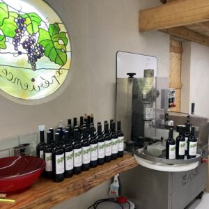 Vin-Expérience-Villefranche-de-lonchat-bouteilles-chai
