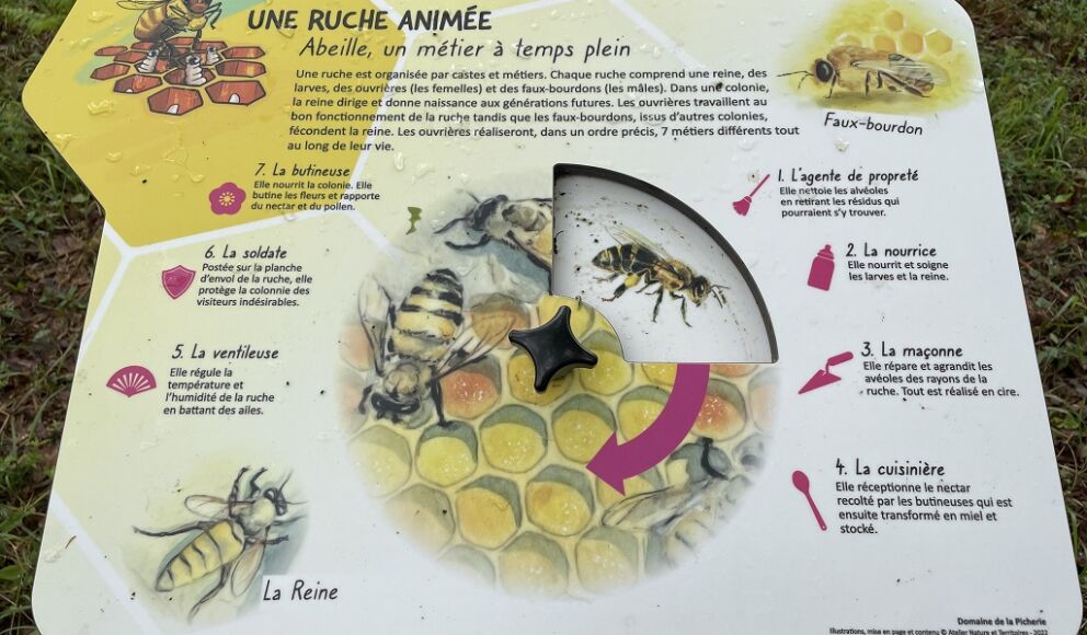 sentier-des-abeilles-montpon(12)