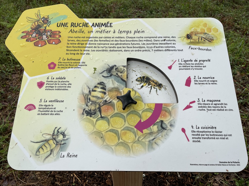sentier-des-abeilles-montpon(12)
