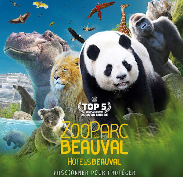 zoo beauval